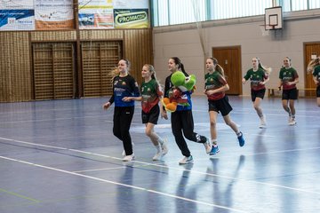 Bild 8 - wDJ HSG Kremperheide/Muensterdorf - TSV SR Schuelp : Ergebnis: 26:5